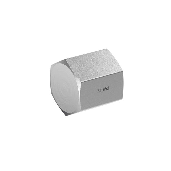 NPT Cap (5406-C)
