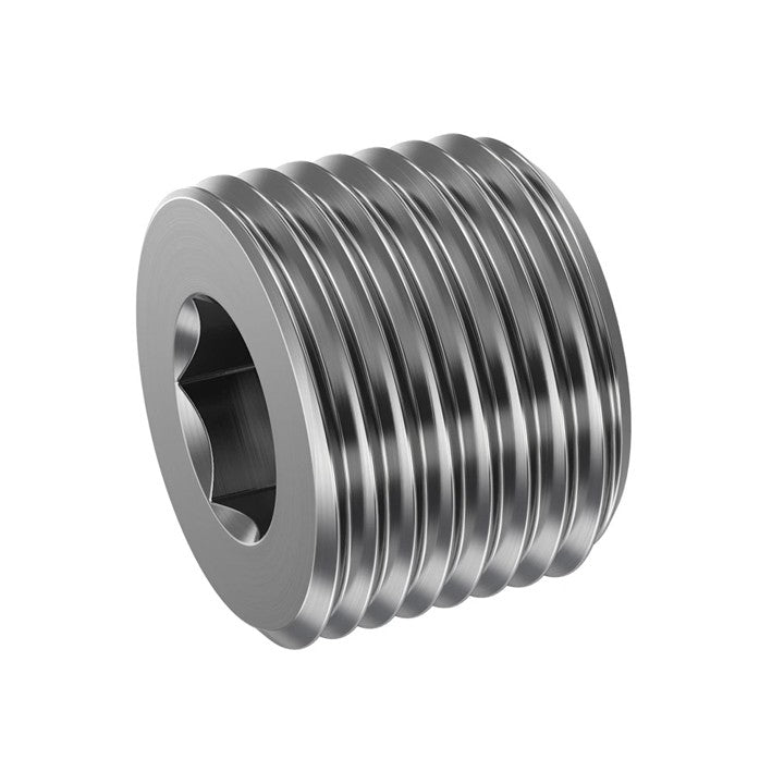 M NPT Hollow Hex Plug (5406-HP)